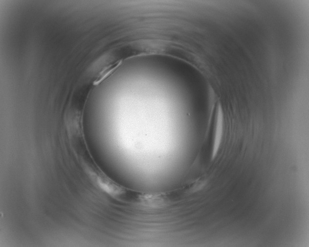 X0000081600141200701291411