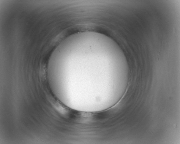 X0000081600144200701291411