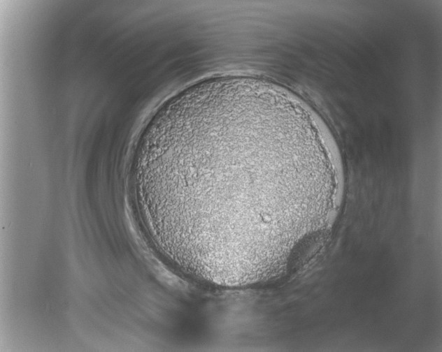 X0000081600145200701291410