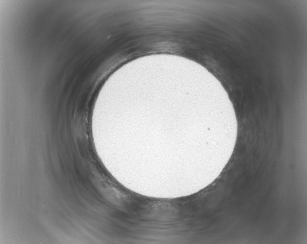 X0000081600146200701291410