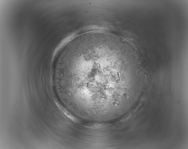 X0000081600149200701291410