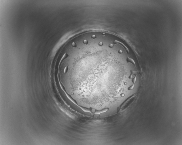 X0000081600151200701291410