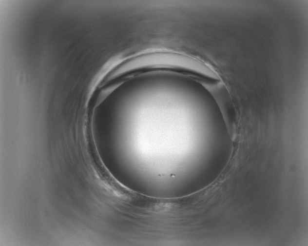 X0000081600152200701291410