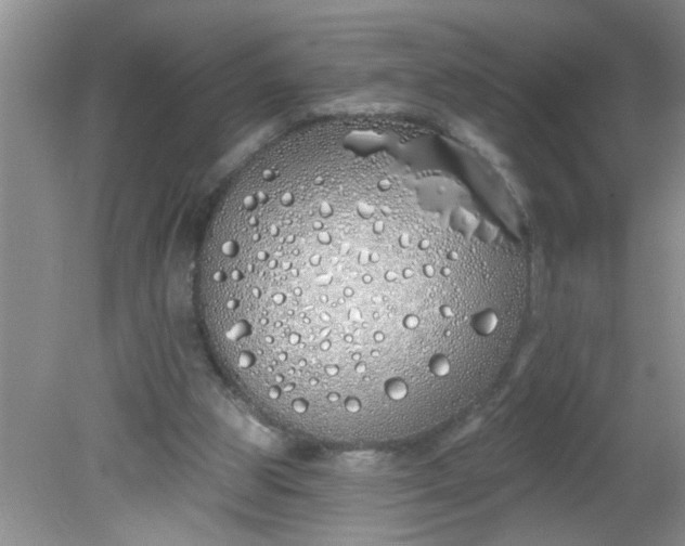 X0000081600153200701291410