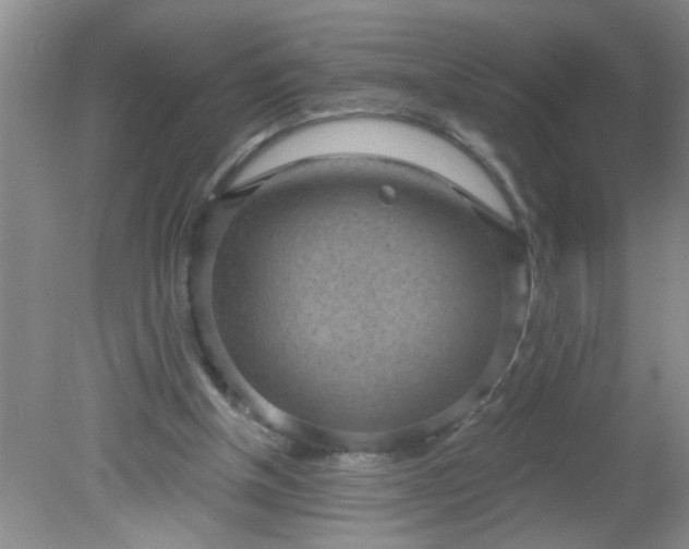 X0000081600154200701291410