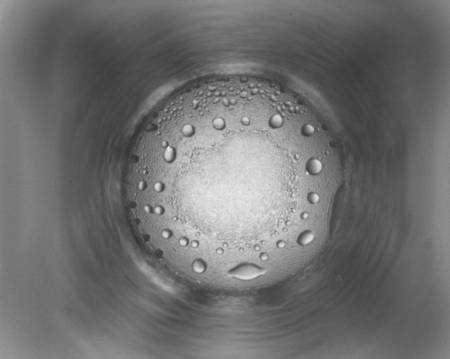 X0000081600155200701291410