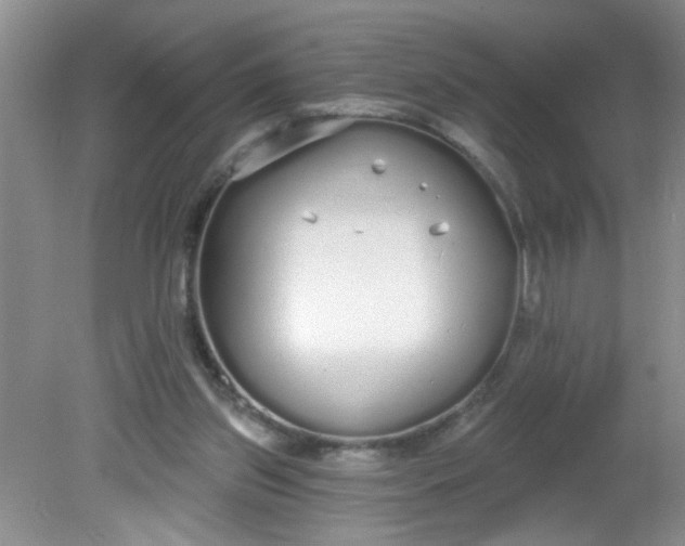 X0000081600157200701291410