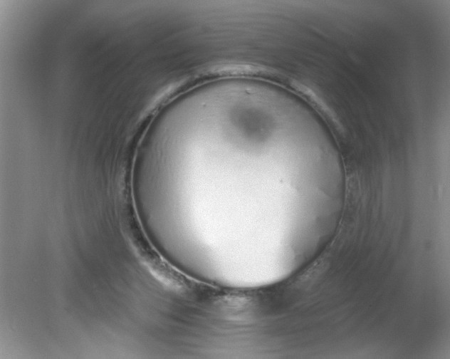 X0000081600159200701291410