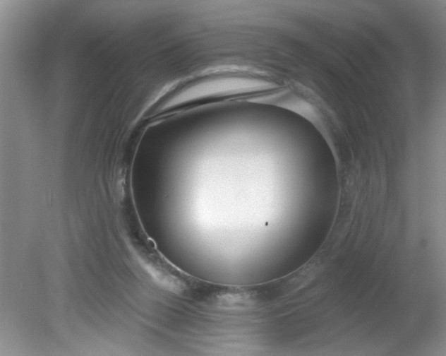 X0000081600160200701291410