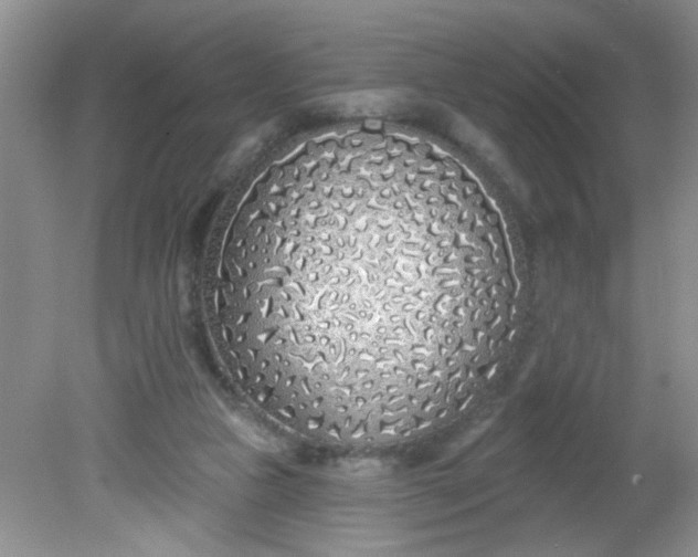 X0000081600161200701291410