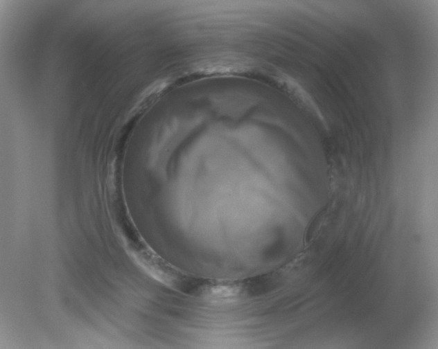 X0000081600163200701291410