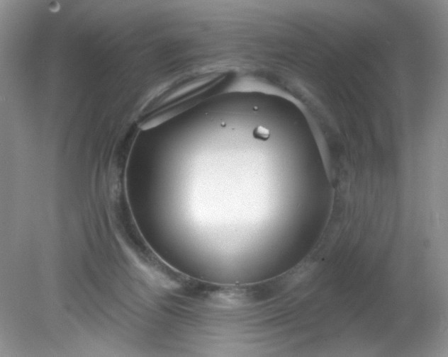 X0000081600164200701291410