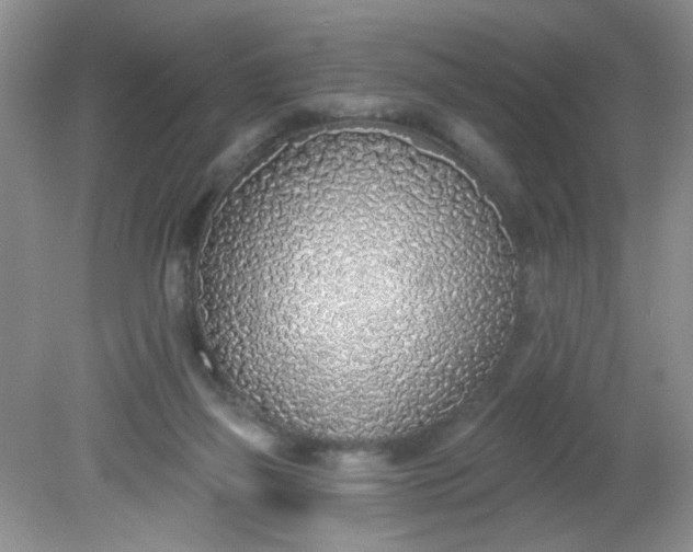 X0000081600165200701291410