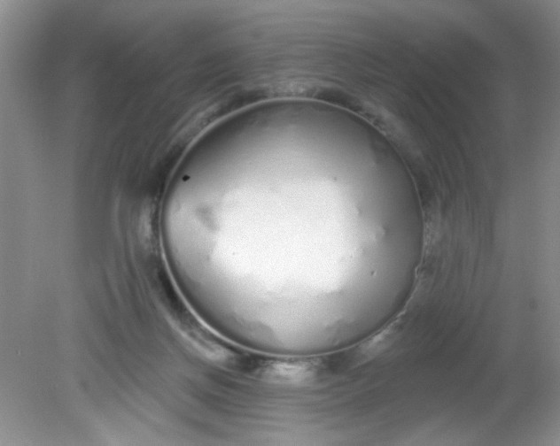 X0000081600166200701291410