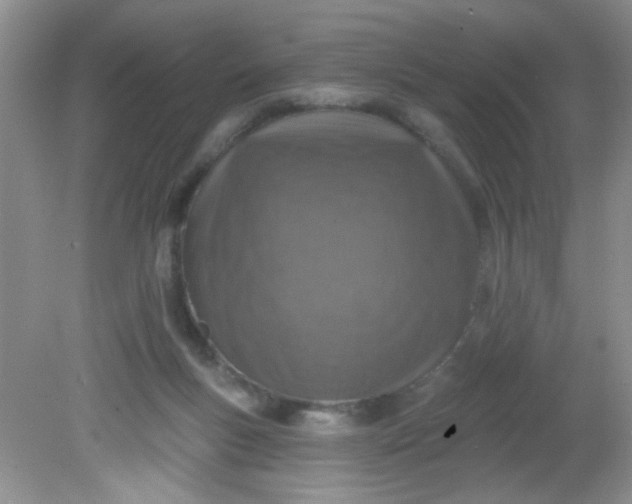 X0000081600167200701291410