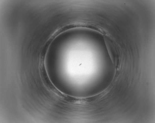 X0000081600168200701291410