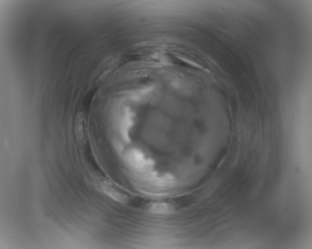 X0000081600169200701291410