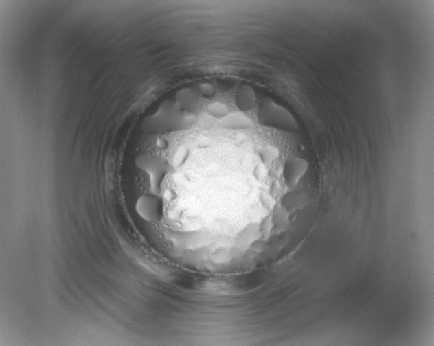 X0000081600171200701291410