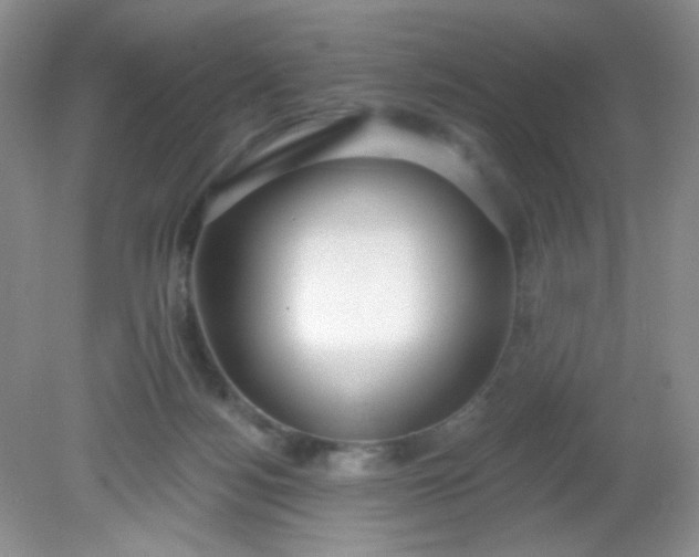 X0000081600172200701291410