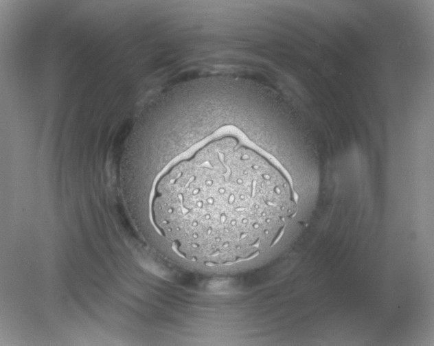 X0000081600173200701291410