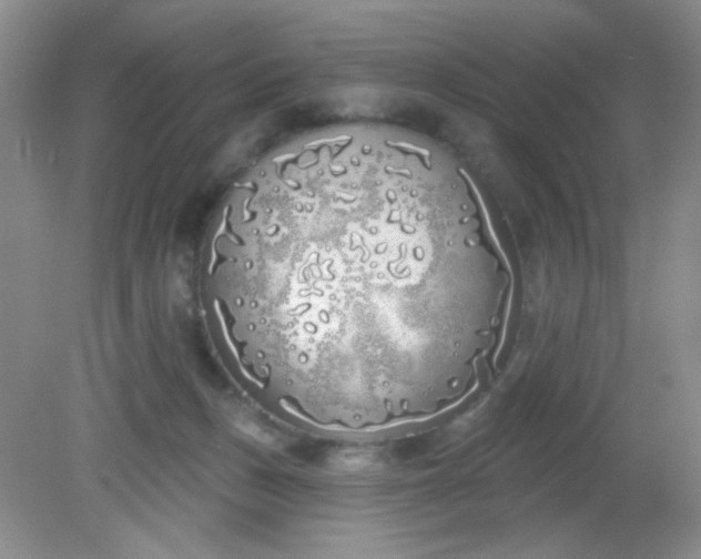 X0000081600175200701291410