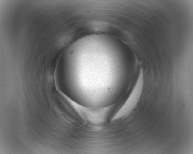 X0000081600176200701291410