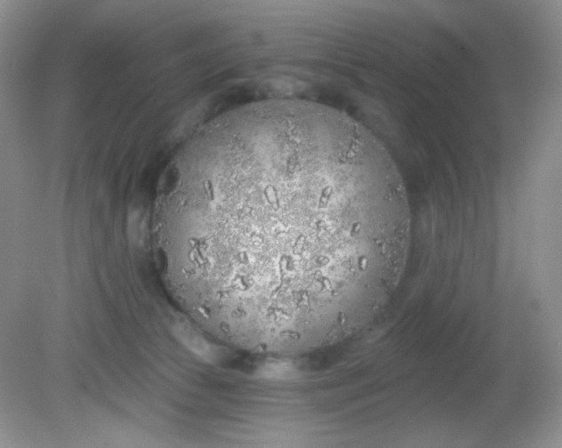 X0000081600177200701291410