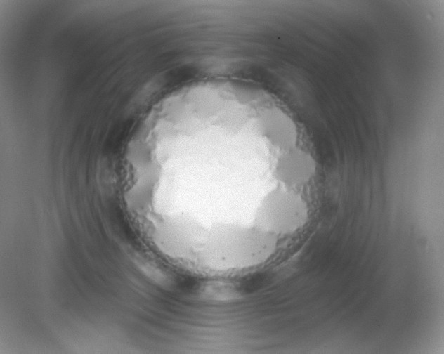 X0000081600179200701291411