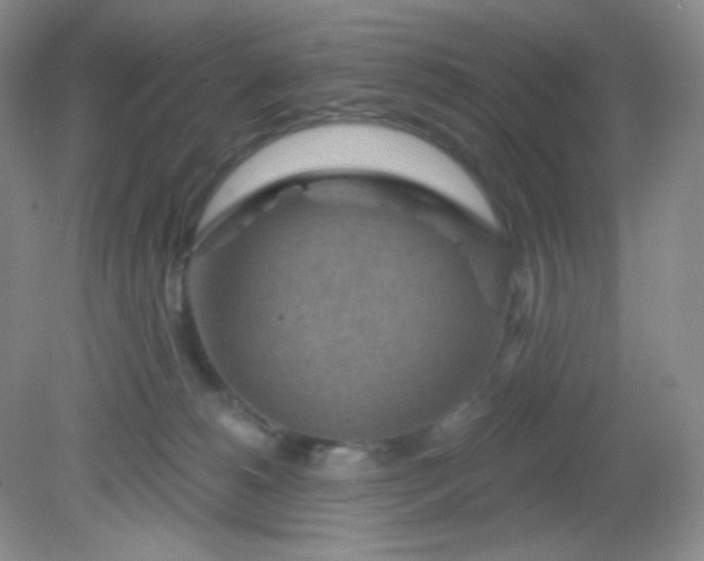 X0000081600180200701291411