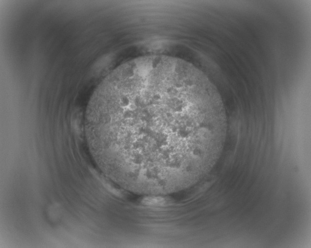 X0000081600181200701291411