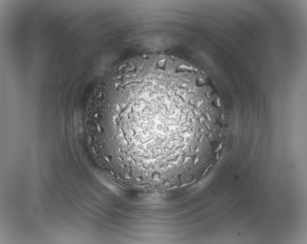 X0000081600182200701291411