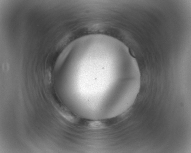 X0000081600183200701291411