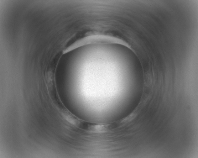 X0000081600184200701291411