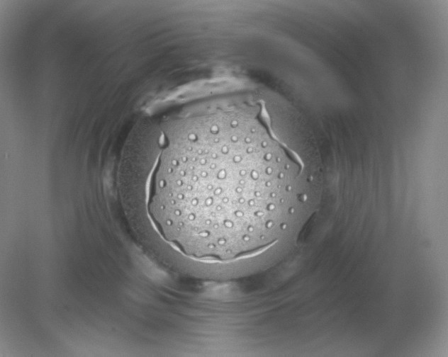 X0000081600185200701291411