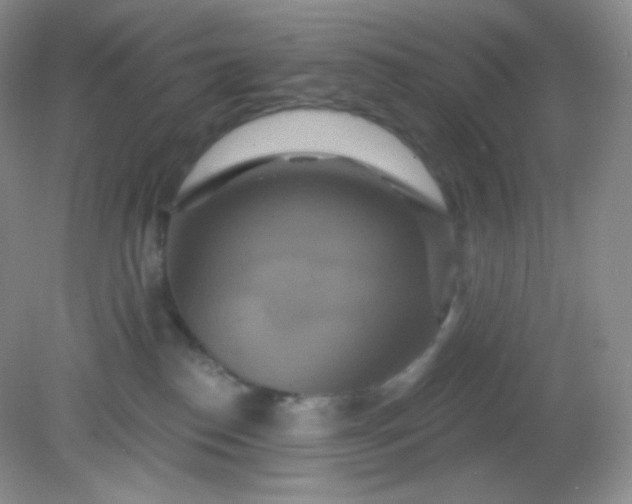 X0000081600186200701291411