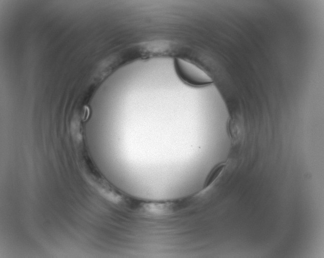 X0000081600187200701291411