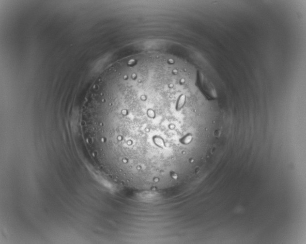 X0000081600189200701291411