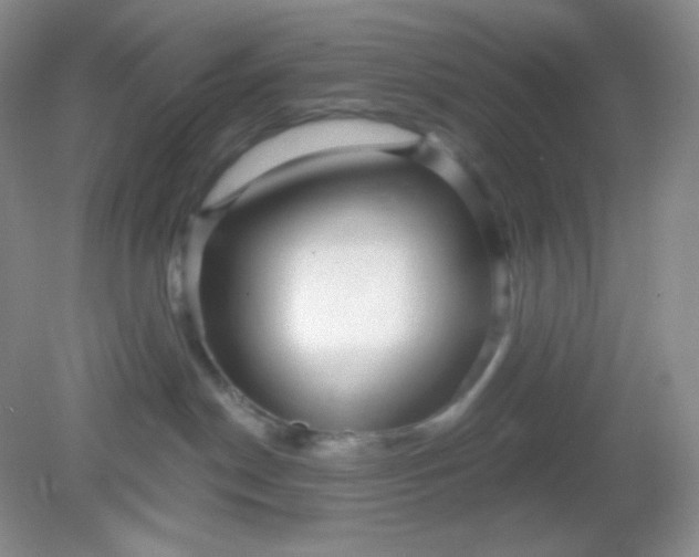 X0000081600190200701291411