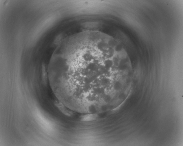 X0000081600191200701291411