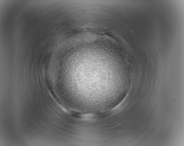 X0000081600192200701291411