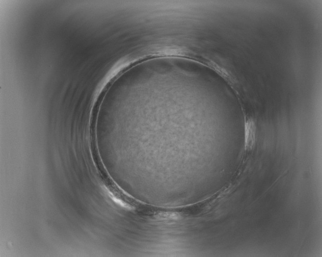 X0000081600195200701291410