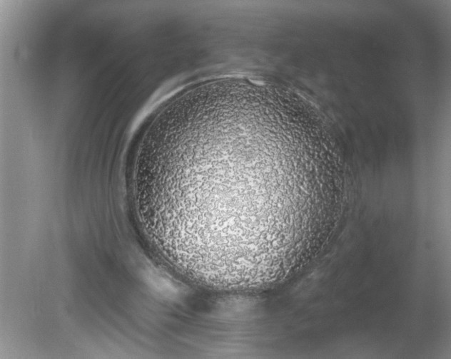 X0000081600198200701291410