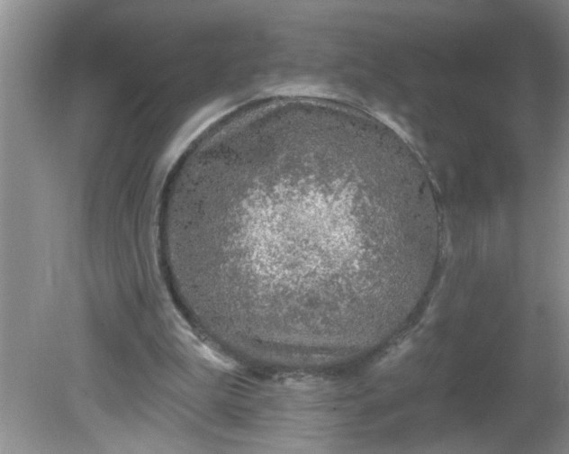 X0000081600199200701291410