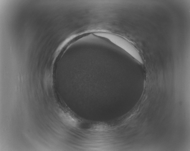 X0000081600200200701291410