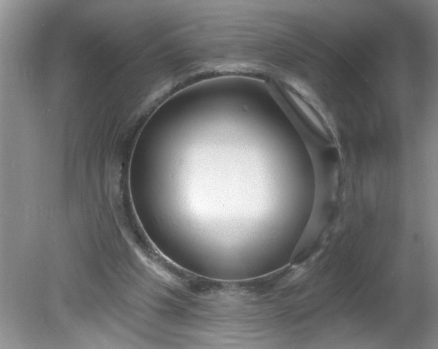 X0000081600201200701291410