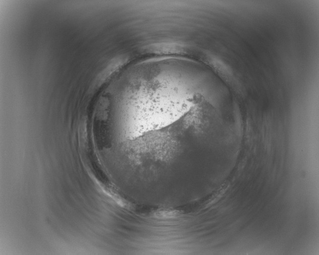 X0000081600202200701291410