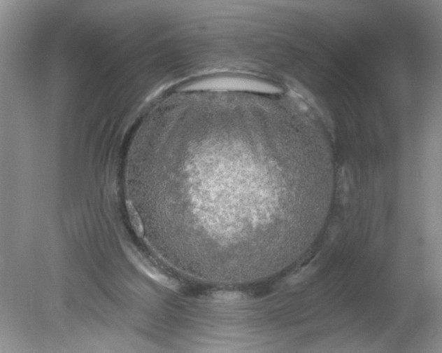 X0000081600203200701291410