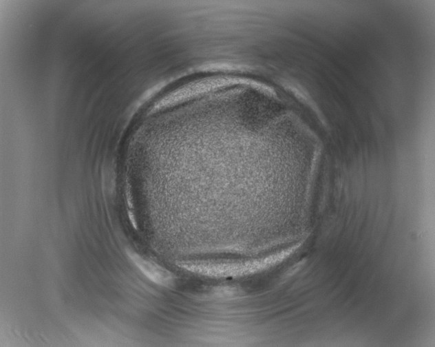 X0000081600204200701291410