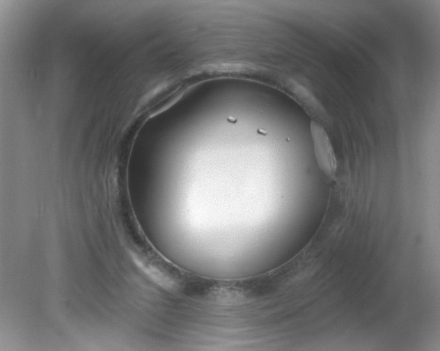 X0000081600207200701291410