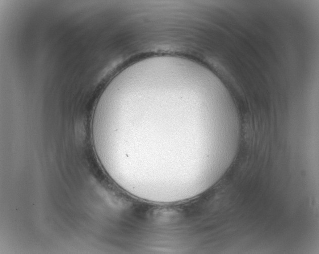 X0000081600208200701291410